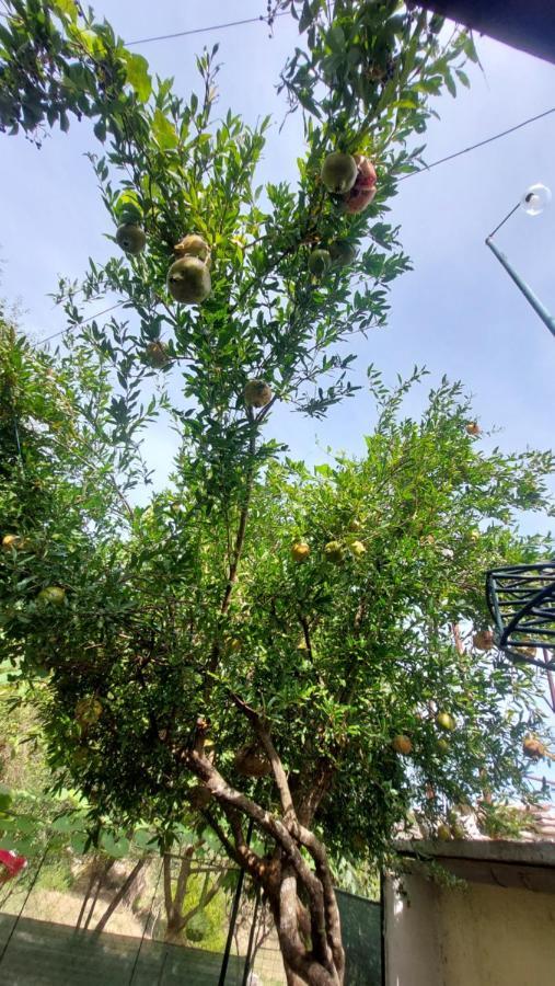 Relax Camping Gjirokastër Exterior foto
